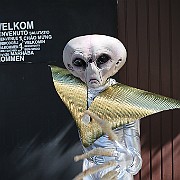 IMG 1254
