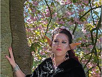 IMG 0005