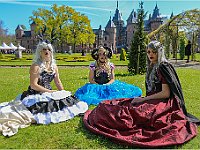 IMG 0126