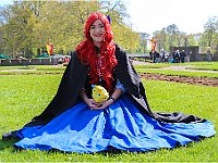 IMG 0137