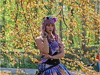 IMG 0222