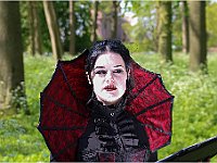 IMG 0237