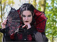 IMG 0241