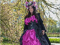 IMG 0249
