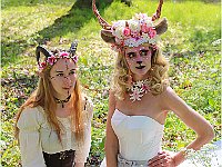 IMG 0272