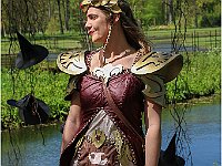 IMG 0329