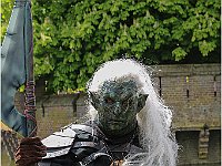 IMG 0343