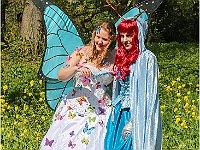 IMG 0378