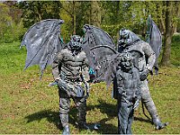 IMG 0387