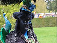 IMG 0416