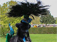 IMG 0417
