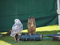 IMG 9955