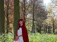 IMG 9984