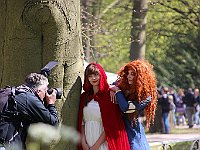 IMG 9994