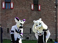 IMG 4695