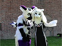 IMG 4699