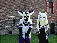 IMG 4702