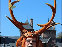 IMG 4748