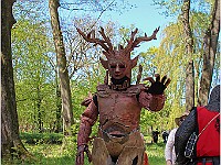 IMG 4758
