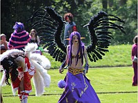 IMG 4826