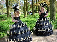 IMG 4842