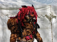 IMG 4880
