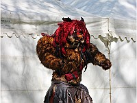 IMG 4881