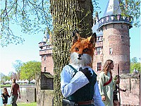 IMG 4897