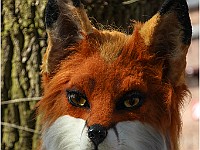 IMG 4898