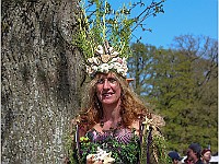 IMG 4916