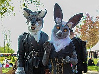 IMG 4960