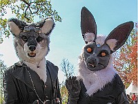 IMG 4963