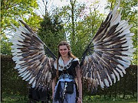 IMG 4977