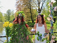 IMG 6847