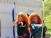 IMG 6881