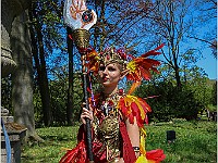 IMG 6931