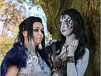 IMG 6949