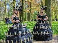 IMG 7001