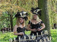 IMG 7005