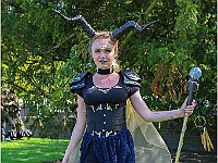 IMG 7087