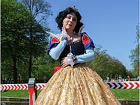 IMG 7093